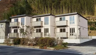 ヴァン ヴェールの画像