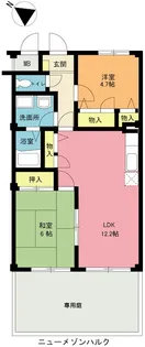 ニューメゾンハルク【1階】の間取り