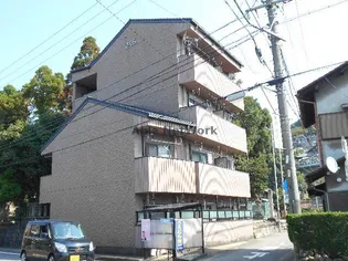 さくらの画像