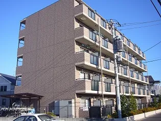 エルヴィーナIIIの画像