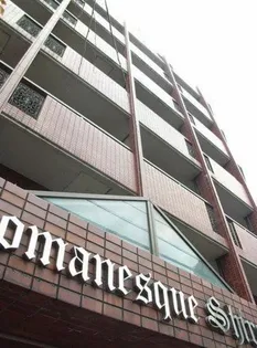 ロマネスク白金第2の画像