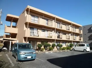 アベニールBの画像