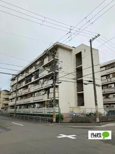 北恩加島住宅2号棟【3階】の外観