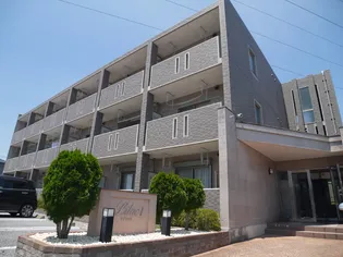 ライラック1の画像