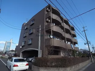 岐阜県岐阜市鏡島精華2【マンション】の外観