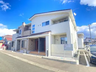 プラシードVの画像