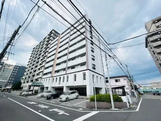 エストシエルの画像