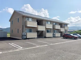 ゼルコヴァ サンクの画像