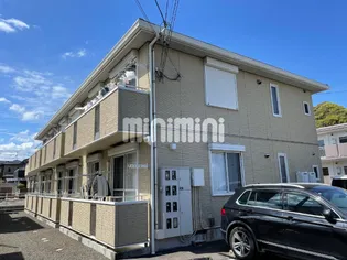 ブルーメの画像