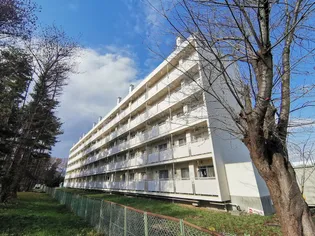 ビレッジハウス北上第二2号棟【3階】の外観