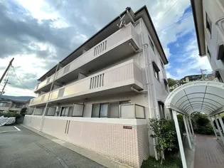 ジュネサンライズの画像