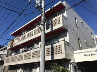 フェリーチェサクマの画像