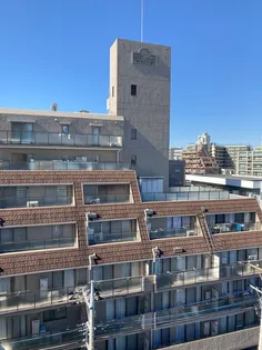 ジェムわらびプランドルの画像