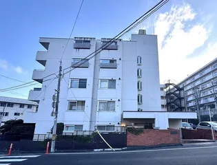 チュリス花壇の画像