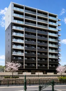 愛知県名古屋市中村区名駅南1【マンション】の外観