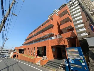 セレブリティ成田の画像
