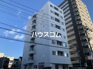 TAMONZの画像