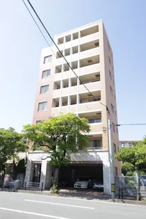 エムズワンの画像