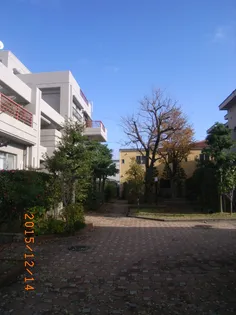 ドームス轟の画像