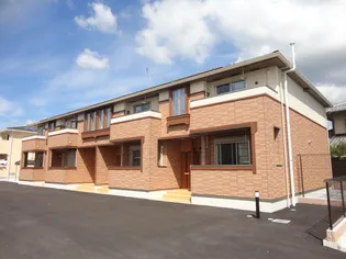 アムールBの画像