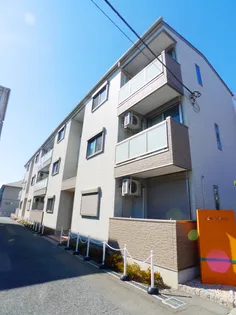 サングレイスの画像