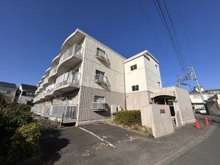 アイランドビレッジの画像