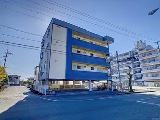 アゼリア南国の画像