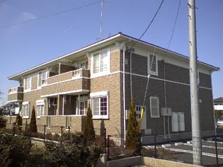 サニープラシードBの画像