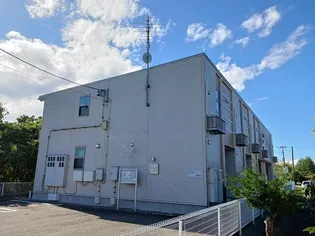 PERSIMMONーKの画像