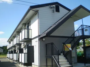 シンシア21 N Mの画像