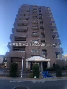 メイト扇の画像