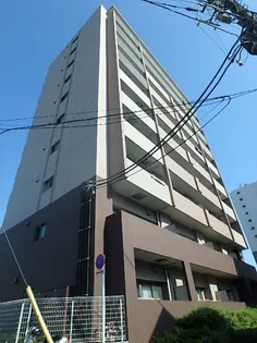 プリマヴェーラの画像