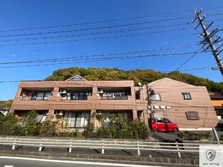 シャロームの画像