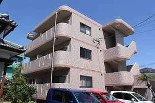 サンライズプラムの画像