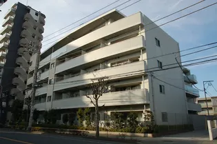 ウィステリアの画像