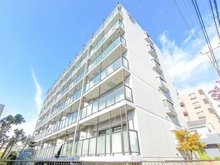 アベニール樹の画像