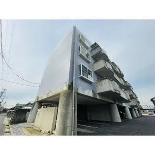 パープリーGーフラットの画像