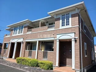 ひまわり Aの画像