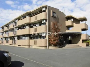 ロワイヤルの画像