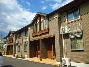 グレイス新の画像