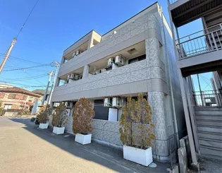 コンフォース光の画像