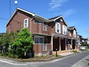 プラシードⅡの画像