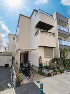 サクラリリアの画像