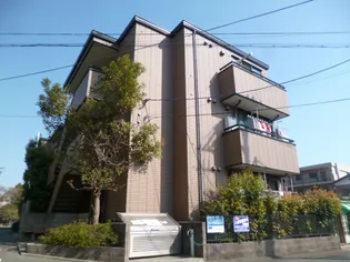 メゾンアムールの画像