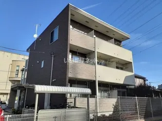 アイランダーの画像