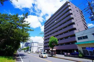 プライドの画像