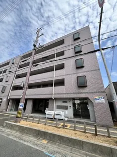 白鷺TKハイツ1号館【3階】の外観