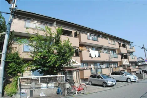 グローパレス1【3階】の外観