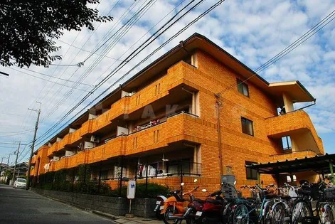 ヴィラクイーンの画像