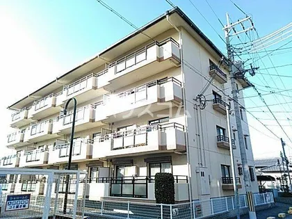 シャロームDの画像